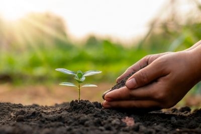Zu langsam: Rechnungshof rügt Klimaschutzpolitik des Landes